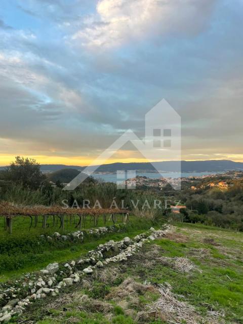 Detalle vista desde la finca