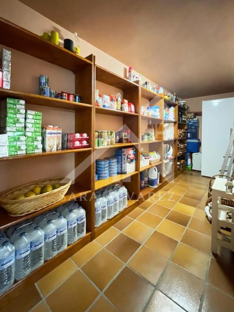 BODEGA