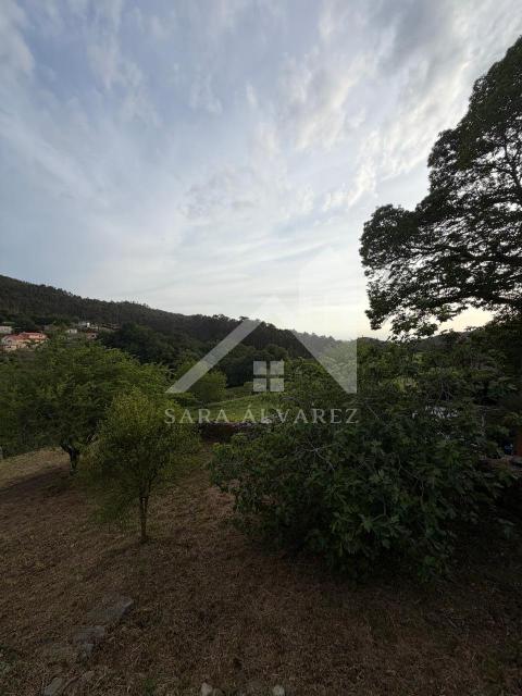 Vistas exteriores