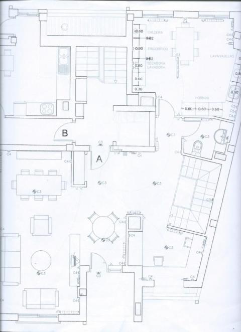 Planta alta